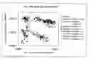 Fig. 01 - Method of judging degree of hair damage