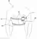 Fig. 01 - PHYSIOLOGIC SENSOR APPARATUS