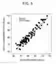 Fig. 06 - Abdominal impedance-based body composition measuring apparatus