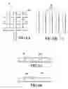 Fig. 10 - Wound Management System