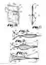 Fig. 05 - System for forming a structure having load-bearing capabilities