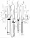 Fig. 48 - Hypodermic syringe needle assembly