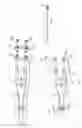 Fig. 02 - Endoscopic instruments