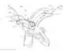 Fig. 01 - Method and apparatus for holding suture ends to facilitate tying of knots