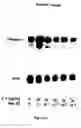 Fig. 22 - Electrical devices and anti-scarring agents