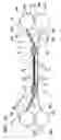 Fig. 11 - Apparatus for altering the body temperature of a patient