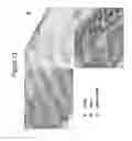 Fig. 14 - Substantially decellularized grafts from umbilical cord vessels and process for preparing and using same