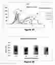 Fig. 34 - Substantially decellularized grafts from umbilical cord vessels and process for preparing and using same
