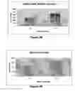 Fig. 36 - Substantially decellularized grafts from umbilical cord vessels and process for preparing and using same