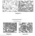 Fig. 38 - Substantially decellularized grafts from umbilical cord vessels and process for preparing and using same