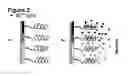 Fig. 03 - Nucleic acid mismatich detection