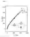 Fig. 07 - Nucleic acid mismatich detection