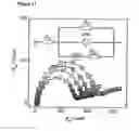 Fig. 12 - Nucleic acid mismatich detection