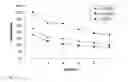 Fig. 22 - Method for the fast exploration of bus-based communication architectures at the cycle-count-accurate-at-transaction-boundaries (CCATB) abstraction