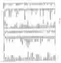 Fig. 04 - TRANSLATION METHOD UTILIZING CORE ANCIENT ROOTS