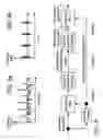 Fig. 11 - Systems, methods, and apparatus for highband time warping