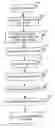 Fig. 01 - Static analysis of grammars