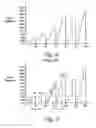 Fig. 05 - Real time estimation of rolling averages of cumulative data
