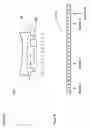Fig. 10 - Methods and apparatus for a wireless terminal with third party advertising: method for third party advertising
