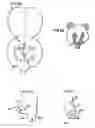 Fig. 06 - Method of providing a soft toy