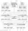 Fig. 01 - Catalog taxonomy for storing product information and system and method using same