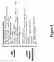 Fig. 05 - Search system and method via proxy server