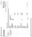 Fig. 12 - Sales diagnostics reporting system