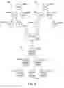 Fig. 07 - Apparatus, system, and method for processing hierarchical data in disparate data repositories