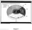 Fig. 09 - System for utilizing audible, visual and textual data with alternative combinable multimedia forms of presenting information for real-time interactive use by multiple users in different remote environments