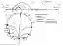 Fig. 01 - Inter-proximity communication within a rendezvous federation
