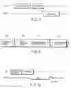 Fig. 05 - Card and host apparatus