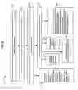 Fig. 27 - User accessibility to electronic paper