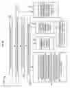 Fig. 30 - User accessibility to electronic paper