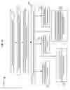 Fig. 31 - User accessibility to electronic paper