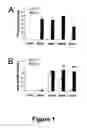 Fig. 02 - Animal models for demyelination disorders