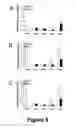 Fig. 06 - Animal models for demyelination disorders