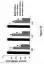 Fig. 19 - Animal models for demyelination disorders