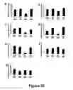 Fig. 26 - Animal models for demyelination disorders