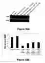 Fig. 30 - Animal models for demyelination disorders