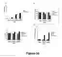 Fig. 36 - Animal models for demyelination disorders