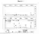 Fig. 04 - Identification of the genetic determinants of the polymorphic CYP3A5 expression