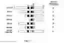 Fig. 03 - Methods and compositions for therapeutic intervention in cardiac hypertrophy