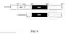 Fig. 07 - Methods and compositions for therapeutic intervention in cardiac hypertrophy