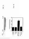 Fig. 08 - Methods and compositions for therapeutic intervention in cardiac hypertrophy
