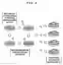 Fig. 05 - Method of efficiently growing modified morning glory plant