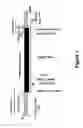Application 20060282915, fig. 02