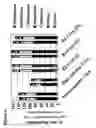 Fig. 07 - Modified starch, uses, methods for production thereof
