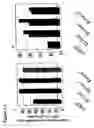 Fig. 08 - Modified starch, uses, methods for production thereof