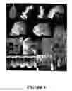 Fig. 10 - Ryegrass pollen-specific promoters and expression constructs