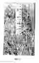 Fig. 04 - Bermuda grass named 'RJT'